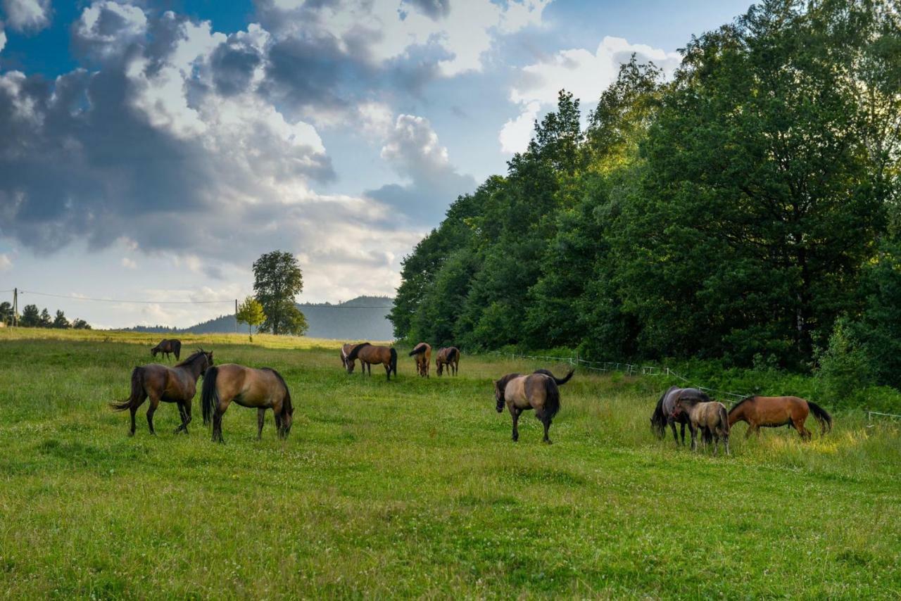 Stanica Hucul Hotel Sułkowice Kültér fotó